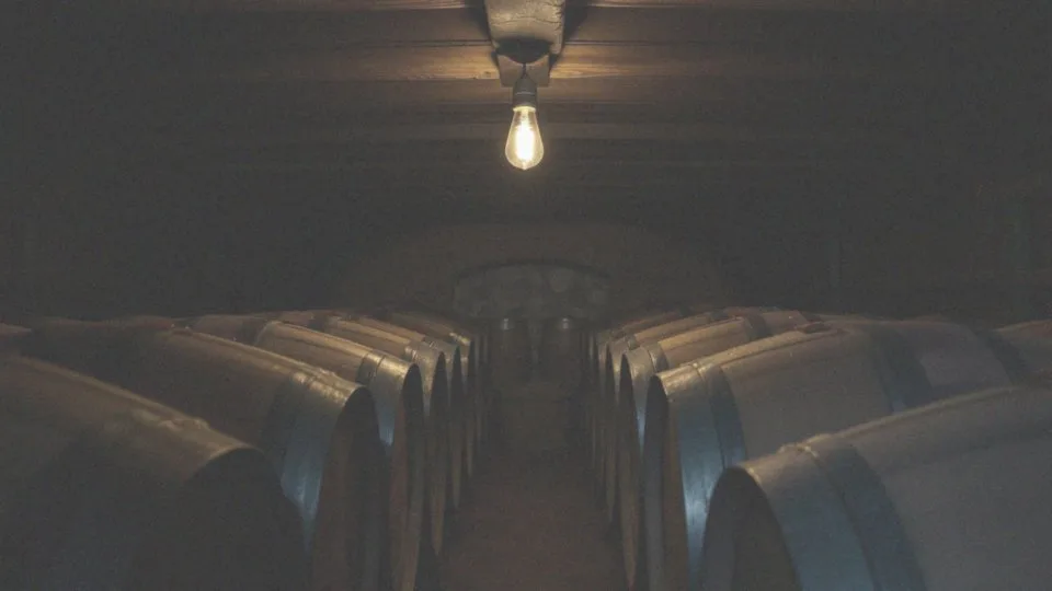 Jakie są etapy fermentacji wina?