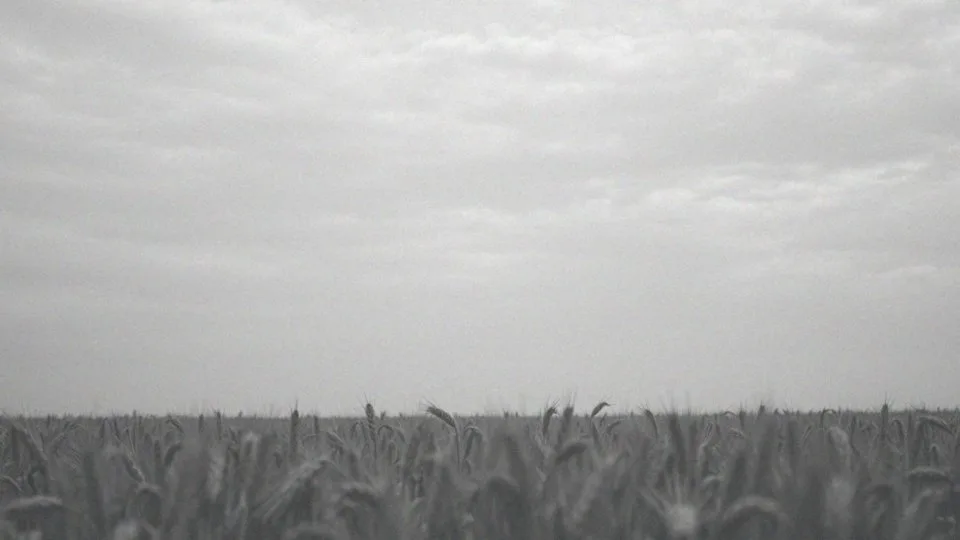 Czego nie wykryje tomografia komputerowa? Ograniczenia badania