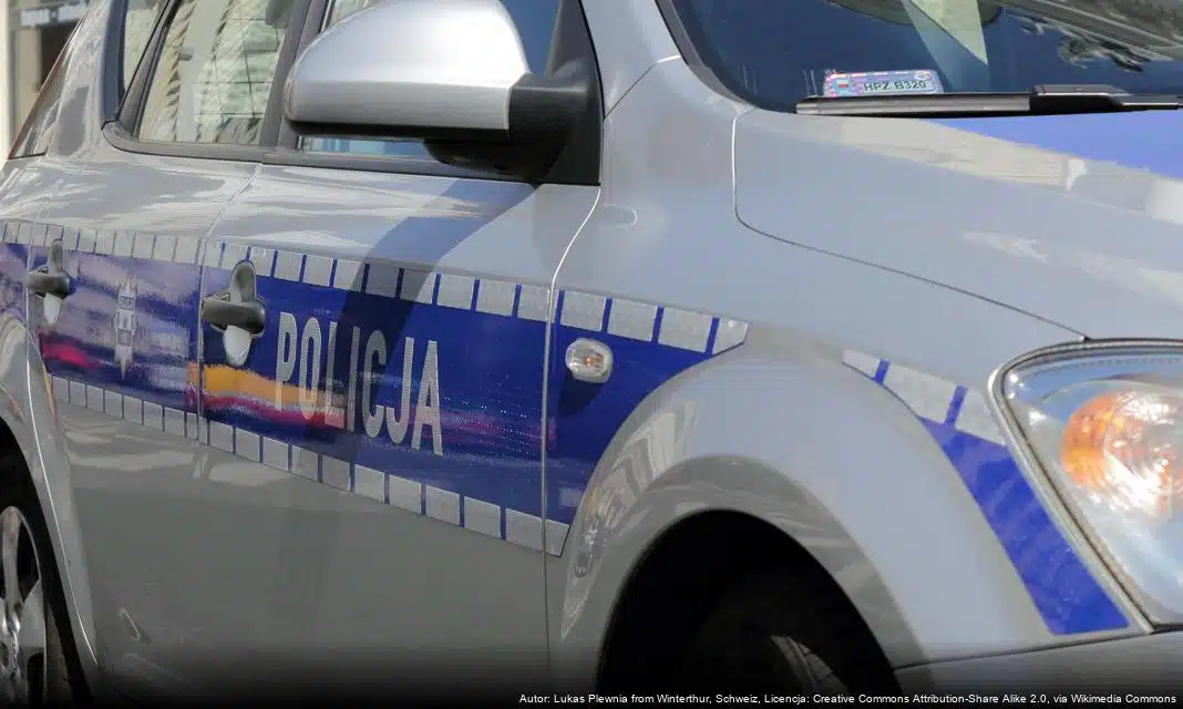 Bezpieczeństwo podczas 34. Finału Wielkiej Orkiestry Świątecznej Pomocy