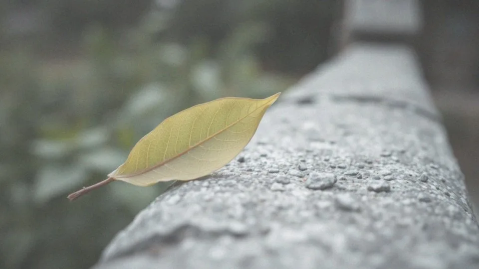 Odwodniona skóra twarzy – objawy i skutki niewłaściwej pielęgnacji