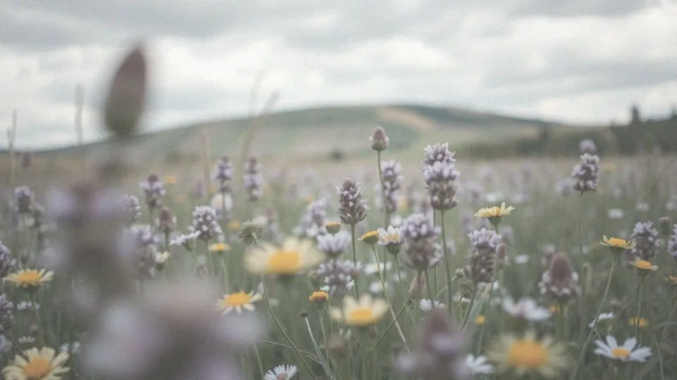 Tępy ból lewego jajnika – przyczyny, objawy i leczenie