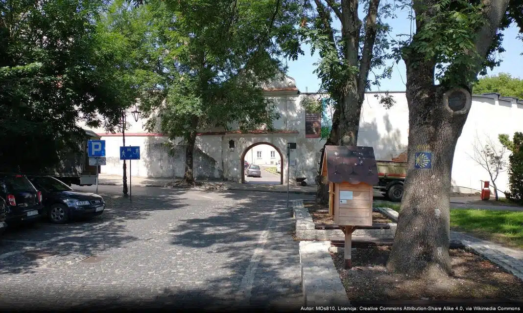 Nowe miododajne drzewa zasadzono nad Zalewem Kraśnickim