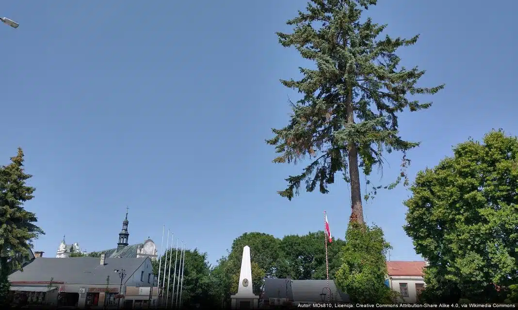 Szwajcarskie Granty na OZE w Kraśniku – Spotkanie Konsultacyjne