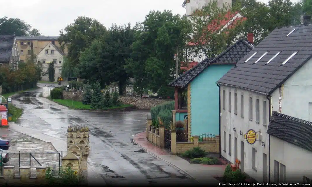 Bieg Pamięci Żołnierzy Wyklętych „Tropem Wilczym” w Kraśniku