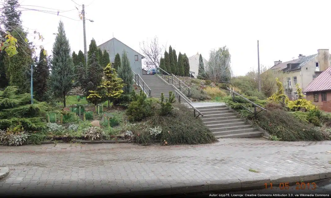 Dodatkowe kursy MPK w dniu 1 i 2 listopada