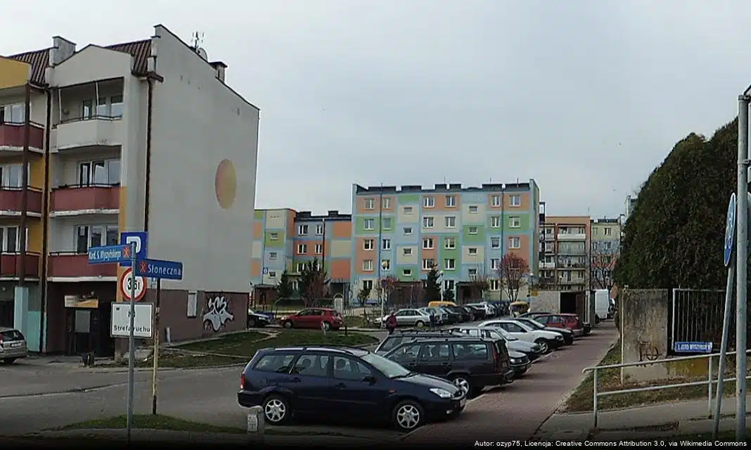 Rada Seniorów w Kraśniku poszerza skład o nową reprezentantkę